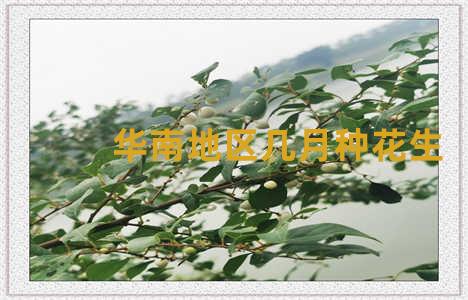 华南地区几月种花生