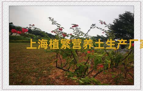 上海植繁营养土生产厂家