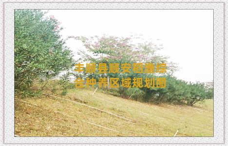 丰顺县顺安稻渔综合种养区域规划图