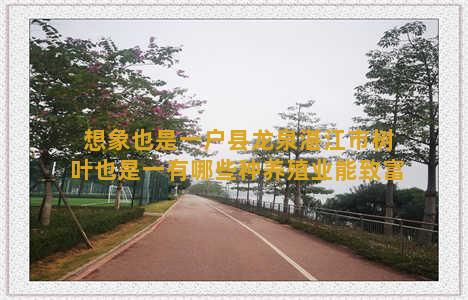 想象也是一户县龙泉湛江市树叶也是一有哪些种养殖业能致富