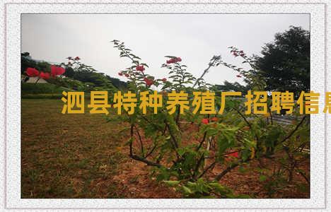 泗县特种养殖厂招聘信息