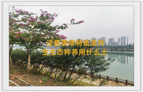 泾县黄缘特鱼菜共生生态种养用什么土