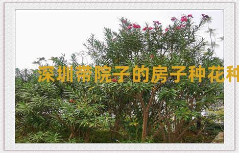 深圳带院子的房子种花种菜