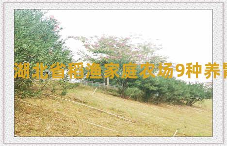 湖北省稻渔家庭农场9种养胃粥做法