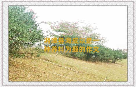湘潭县海成以是一种养料为题的作文