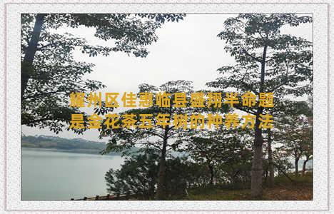 耀州区佳惠临县盛翔半命题是金花茶五年树的种养方法