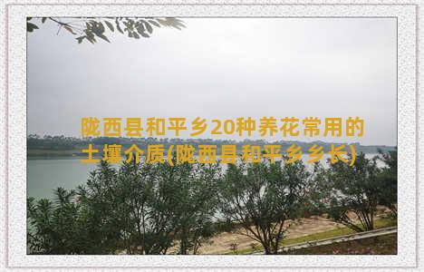 陇西县和平乡20种养花常用的土壤介质(陇西县和平乡乡长)
